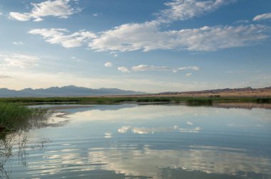  Bozkır yaz. Turgai kapısı. Turgai Kaydet. Milli Parkı 