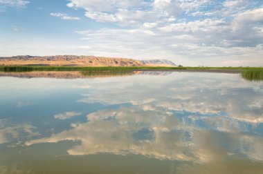  Bozkır yaz. Turgai kapısı. Turgai Kaydet. Milli Parkı 