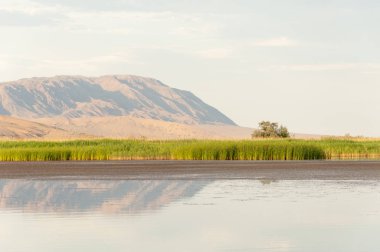  Bozkır yaz. Turgai kapısı. Turgai Kaydet. Milli Parkı 