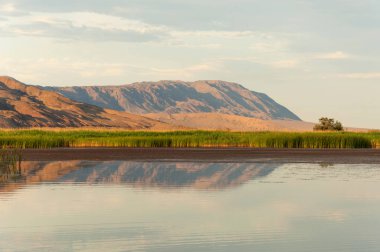  Bozkır yaz. Turgai kapısı. Turgai Kaydet. Milli Parkı 