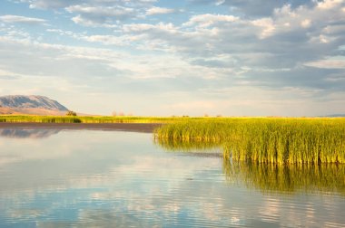  Bozkır yaz. Turgai kapısı. Turgai Kaydet. Milli Parkı 