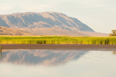  Bozkır yaz. Turgai kapısı. Turgai Kaydet. Milli Parkı 