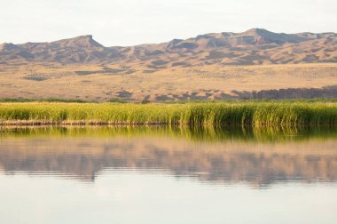  Bozkır yaz. Turgai kapısı. Turgai Kaydet. Milli Parkı 