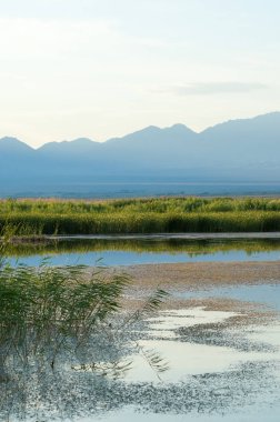  Bozkır yaz. Turgai kapısı. Turgai Kaydet. Milli Parkı 