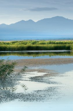  Bozkır yaz. Turgai kapısı. Turgai Kaydet. Milli Parkı 
