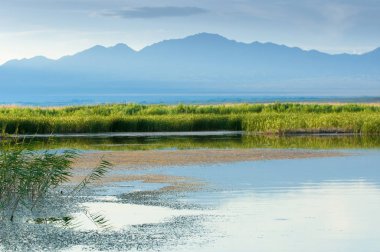  Bozkır yaz. Turgai kapısı. Turgai Kaydet. Milli Parkı 