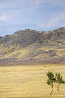 Woodless, zavallı nemi ve genellikle düz ile kuru iklim bölgesinde otsu bitki örtüsü bozkır. çayır, veld, veldt