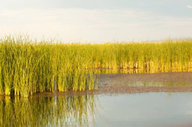  Bozkır yaz. Turgai kapısı. Turgai Kaydet. Milli Parkı 