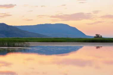  Bozkır yaz. Turgai kapısı. Turgai Kaydet. Milli Parkı 