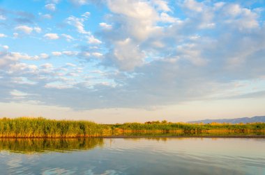  Bozkır yaz. Turgai kapısı. Turgai Kaydet. Milli Parkı 