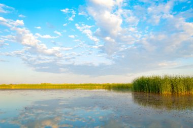  Bozkır yaz. Turgai kapısı. Turgai Kaydet. Milli Parkı 