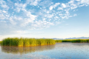  Bozkır yaz. Turgai kapısı. Turgai Kaydet. Milli Parkı 