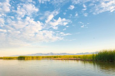  Bozkır yaz. Turgai kapısı. Turgai Kaydet. Milli Parkı 