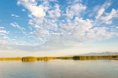  Bozkır yaz. Turgai kapısı. Turgai Kaydet. Milli Parkı 