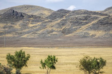 Woodless, zavallı nemi ve genellikle düz ile kuru iklim bölgesinde otsu bitki örtüsü bozkır. çayır, veld, veldt