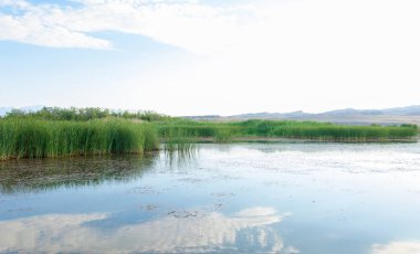 Bozkır yaz. Turgai kapısı. Turgai Kaydet. Milli Parkı 