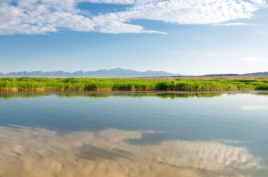  Bozkır yaz. Turgai kapısı. Turgai Kaydet. Milli Parkı 