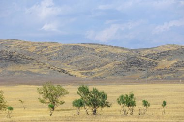 Woodless, zavallı nemi ve genellikle düz ile kuru iklim bölgesinde otsu bitki örtüsü bozkır. çayır, veld, veldt