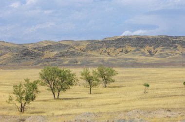Woodless, zavallı nemi ve genellikle düz ile kuru iklim bölgesinde otsu bitki örtüsü bozkır. çayır, veld, veldt