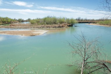 Bozkır nehir sazlık yaz. nehir görünümünde kez izlendi. küçük mavi nehir kıyısında güneşli bir gün