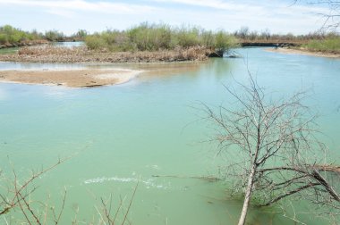 Bozkır nehir sazlık yaz. nehir görünümünde kez izlendi. küçük mavi nehir kıyısında güneşli bir gün