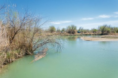 Bozkır nehir sazlık yaz. nehir görünümünde kez izlendi. küçük mavi nehir kıyısında güneşli bir gün