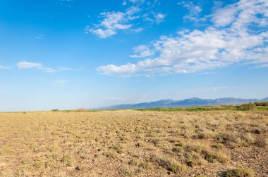  Bozkır yaz. Turgai kapısı. Turgai Kaydet. Milli Parkı 