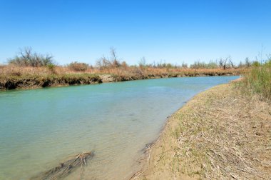 Bozkır nehir sazlık yaz. nehir görünümünde kez izlendi. küçük mavi nehir kıyısında güneşli bir gün