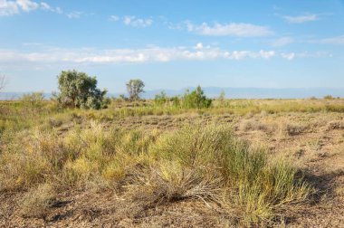  Bozkır yaz. Turgai kapısı. Turgai Kaydet. Milli Parkı 