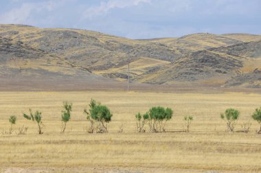 Woodless, zavallı nemi ve genellikle düz ile kuru iklim bölgesinde otsu bitki örtüsü bozkır. çayır, veld, veldt