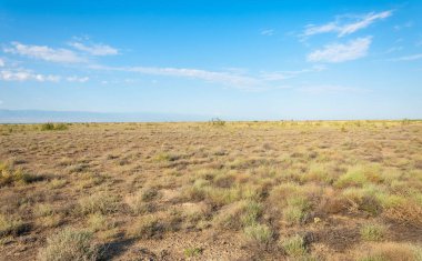  Bozkır yaz. Turgai kapısı. Turgai Kaydet. Milli Parkı 