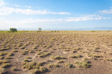  Bozkır yaz. Turgai kapısı. Turgai Kaydet. Milli Parkı 