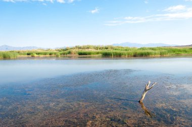  Bozkır yaz. Turgai kapısı. Turgai Kaydet. Milli Parkı 