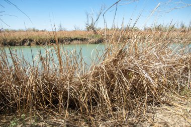 Bozkır nehir sazlık yaz. nehir görünümünde kez izlendi. küçük mavi nehir kıyısında güneşli bir gün