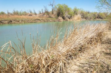 Bozkır nehir sazlık yaz. nehir görünümünde kez izlendi. küçük mavi nehir kıyısında güneşli bir gün