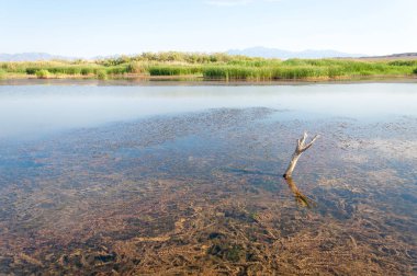  Bozkır yaz. Turgai kapısı. Turgai Kaydet. Milli Parkı 