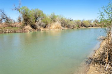 Bozkır nehir sazlık yaz. nehir görünümünde kez izlendi. küçük mavi nehir kıyısında güneşli bir gün