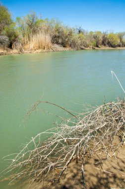 Bozkır nehir sazlık yaz. nehir görünümünde kez izlendi. küçük mavi nehir kıyısında güneşli bir gün