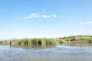  Bozkır yaz. Turgai kapısı. Turgai Kaydet. Milli Parkı 