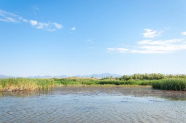  Bozkır yaz. Turgai kapısı. Turgai Kaydet. Milli Parkı 