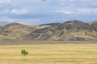 Woodless, zavallı nemi ve genellikle düz ile kuru iklim bölgesinde otsu bitki örtüsü bozkır. çayır, veld, veldt