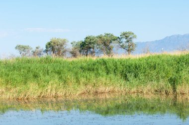  Bozkır yaz. Turgai kapısı. Turgai Kaydet. Milli Parkı 