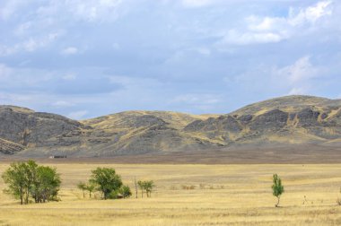 Woodless, zavallı nemi ve genellikle düz ile kuru iklim bölgesinde otsu bitki örtüsü bozkır. çayır, veld, veldt