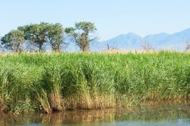 Bozkır yaz. Turgai kapısı. Turgai Kaydet. Milli Parkı 