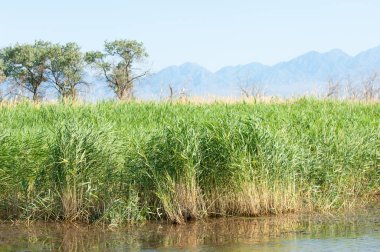  Bozkır yaz. Turgai kapısı. Turgai Kaydet. Milli Parkı 