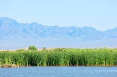  Bozkır yaz. Turgai kapısı. Turgai Kaydet. Milli Parkı 