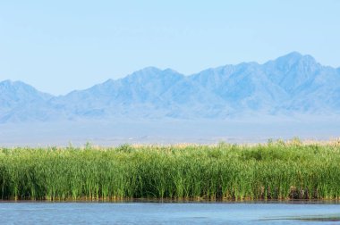  Bozkır yaz. Turgai kapısı. Turgai Kaydet. Milli Parkı 