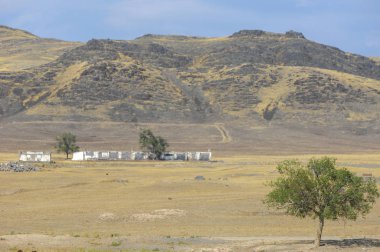 Woodless, zavallı nemi ve genellikle düz ile kuru iklim bölgesinde otsu bitki örtüsü bozkır. çayır, veld, veldt