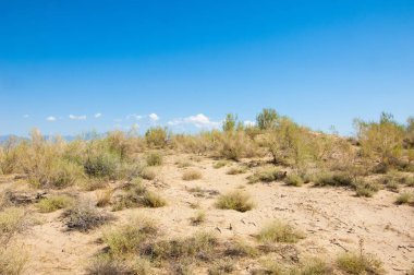  Bozkır yaz. Turgai kapısı. Turgai Kaydet. Milli Parkı 