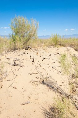  Bozkır yaz. Turgai kapısı. Turgai Kaydet. Milli Parkı 